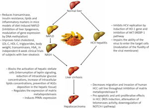 The role of curcumin in liver diseases